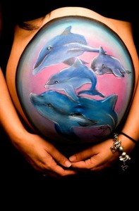dolphins-unlabeled.jpg